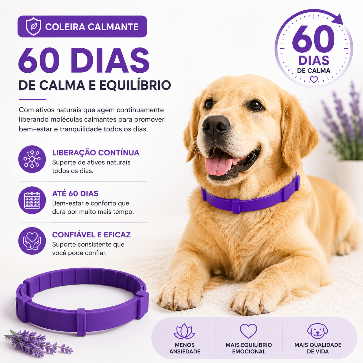 Kit ZenPet — Cuidado completo para um pet mais tranquilo. (Edição Limitada)