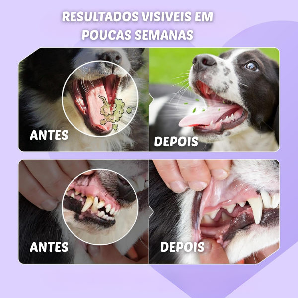 Spray bucal pet + Ultrassônico SmilePet: A solução completa contra mau hálito e tártaro dos pet