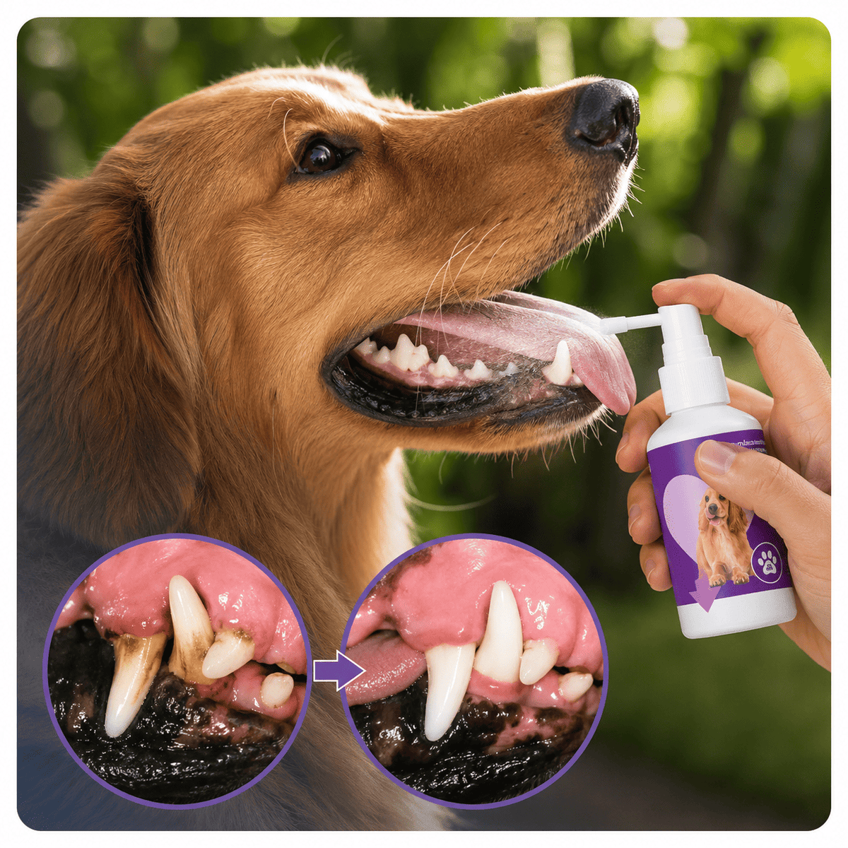 Spray de Limpeza Bucal - Anti Tártaro e Mau Hálito