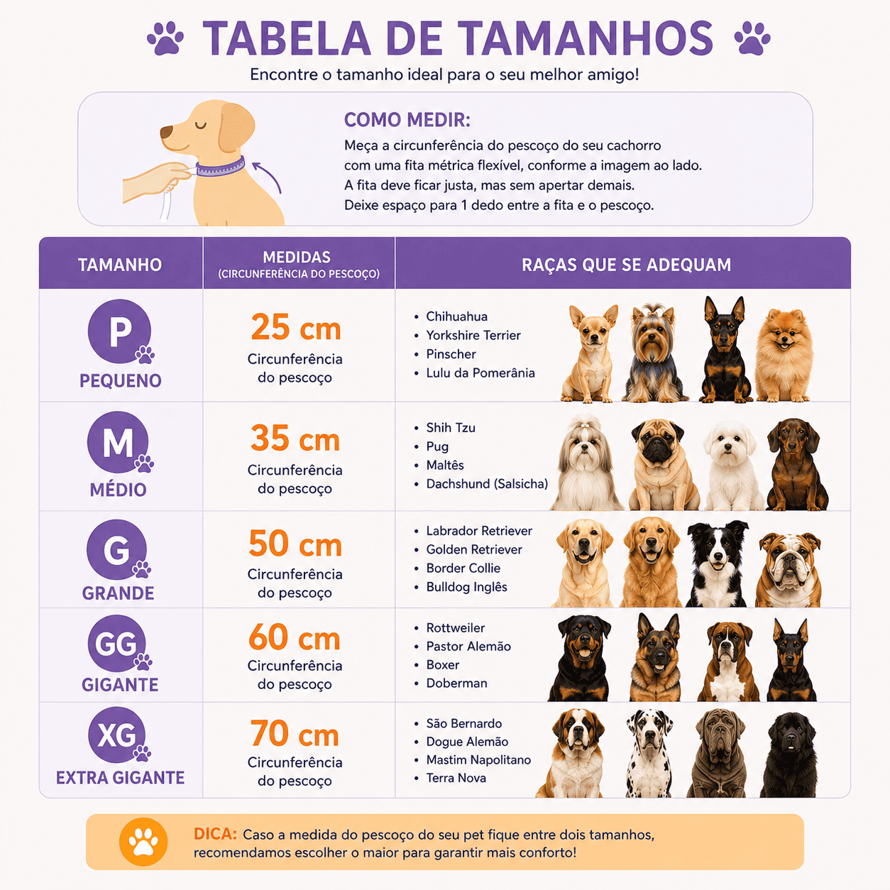 Bandana Pet Brasil (Edição Limitada)