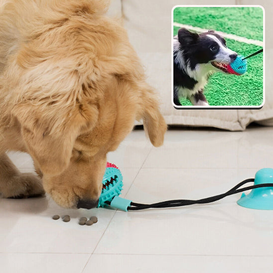 DentPlay™ - Brinquedo de Limpeza Dental e Alívio da Ansiedade para Cães