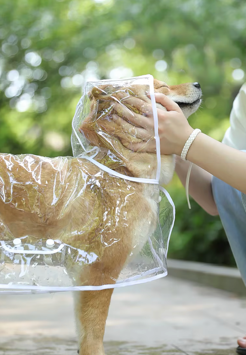 Capa de Chuva Impermeável para Cachorro SoftDry – Leve, Ajustável e Confortável
