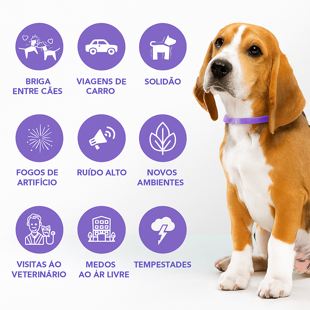 Coleira Calmante ZenPet™  – Para Ansiedade e Estresse em Cães e Gatos