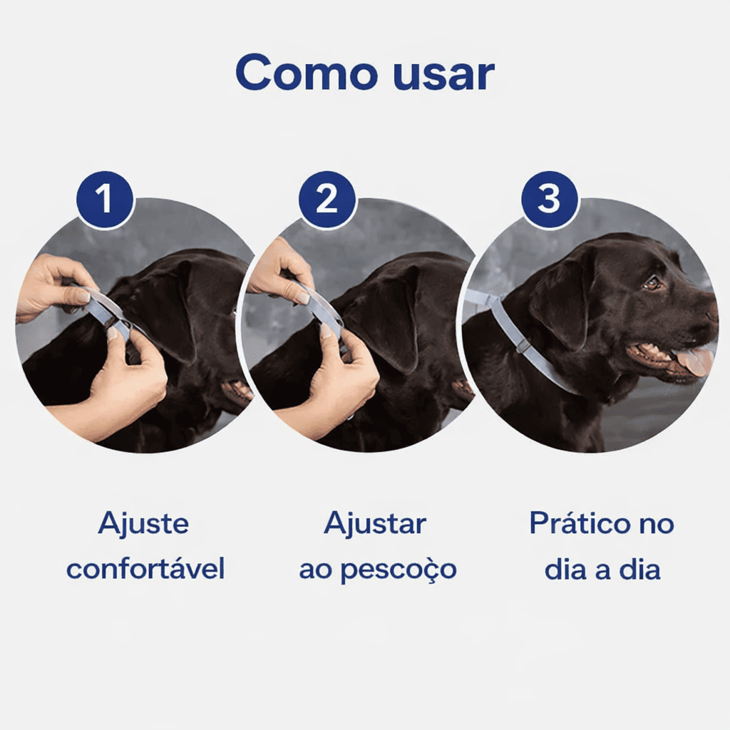 Kit 4 Coleiras Naturais contra Pulgas e Carrapatos - 1 Ano de Proteção