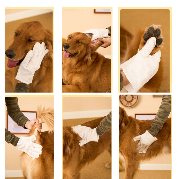 Luva Umedecida Pet Banho sem Água - Limpa, Hidrata e Protege - [Dobro de Pacotes Grátis]