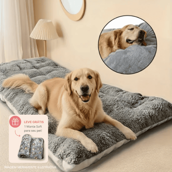 Cama Acolchoada para Cães de Médio e Grande Porte — Mais Conforto e Descanso Profundo (Grátis 1 Manta)