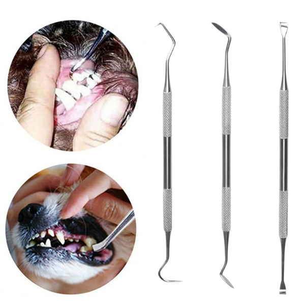 Kit de Espátula em aço inoxidável Para auxiliar na remoção do tártaro