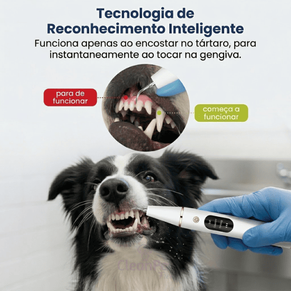 Ultrassônico Removedor de tártaro em cães e gatos - SmilePet™