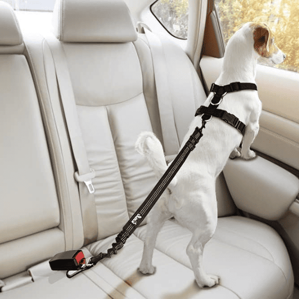 Cinto de Segurança Pet: Proteção Antifuga e Anti-Impacto (Brinde Grátis)