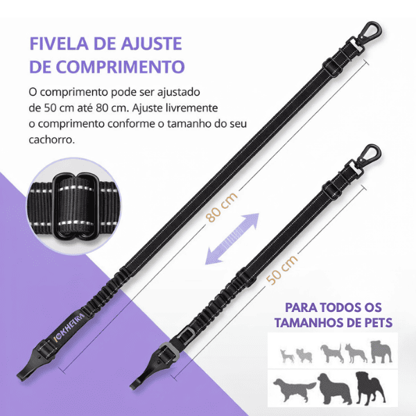 Cinto de Segurança Pet: Proteção Antifuga e Anti-Impacto (Brinde Grátis)