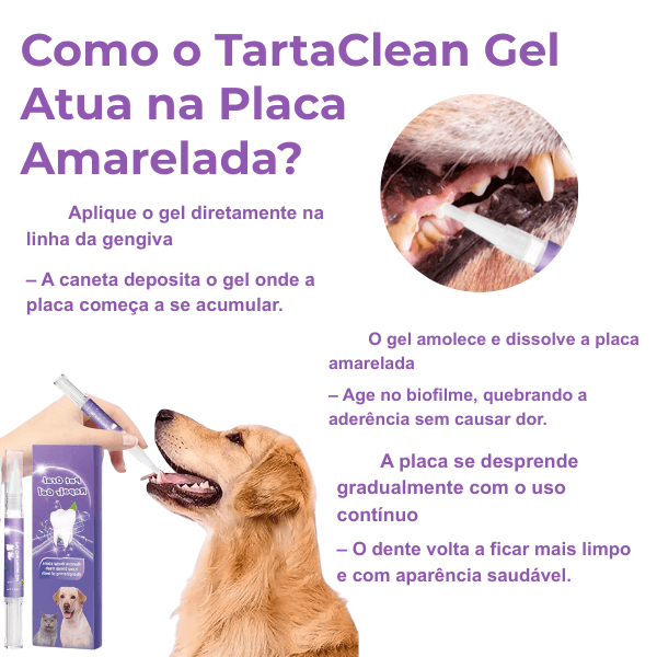 Caneta Dental para Pets Limpa dentes amarelados, previne o tártaro e elimina o mau hálito