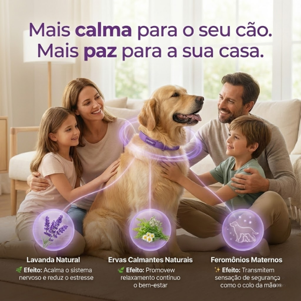 Coleira Calmante ZenPet™: Fim dos Tremores, Latidos Excessivos e Medo de Barulhos