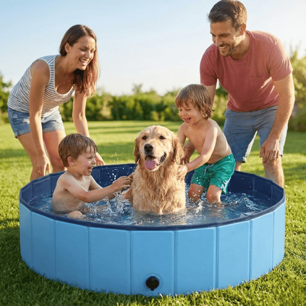 Piscina dobrável para pets - SplashPet™. Transforme o calor insuportável em diversão