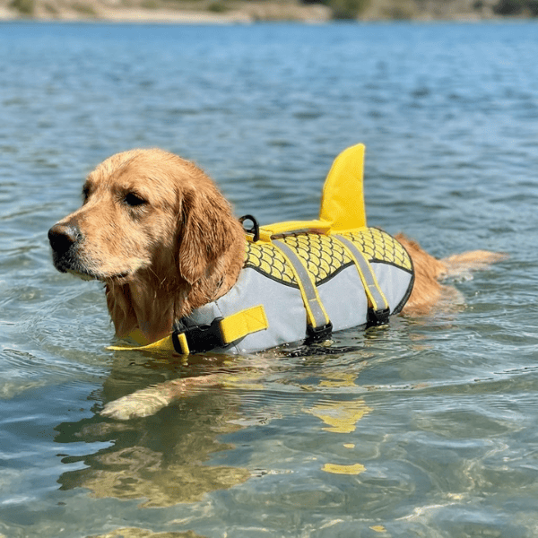 Colete Salva Vidas para Cachorro: Alta Flutuação, Segurança e Conforto na Água