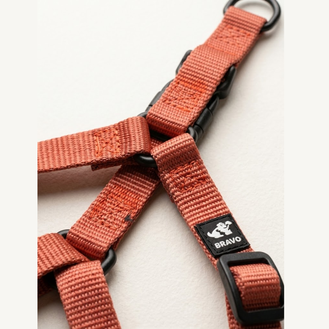 Coleira estilo Peitoral - Encaixe em Y Anti-Sufocamento — Regulável em Nylon Premium