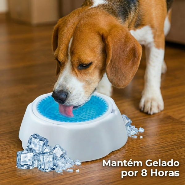 Tigela Gelada FrostPet™: Água Fresca e Saudável por até 8 Horas