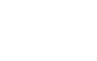 Clean pet