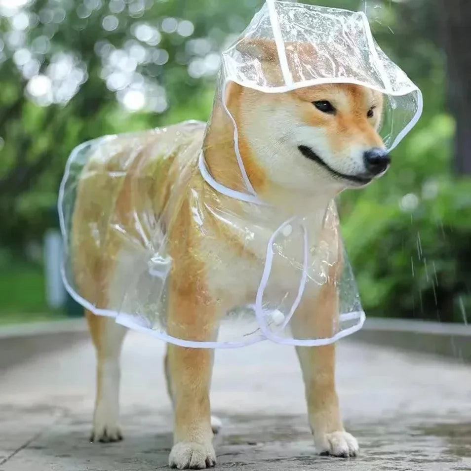 Capa de Chuva Impermeável para Cachorro SoftDry – Leve, Ajustável e Confortável