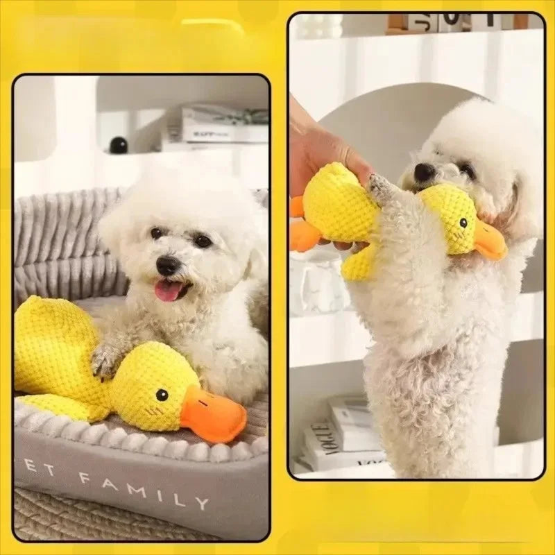 Patinho Sonoro de Enriquecimento Ambiental para pets