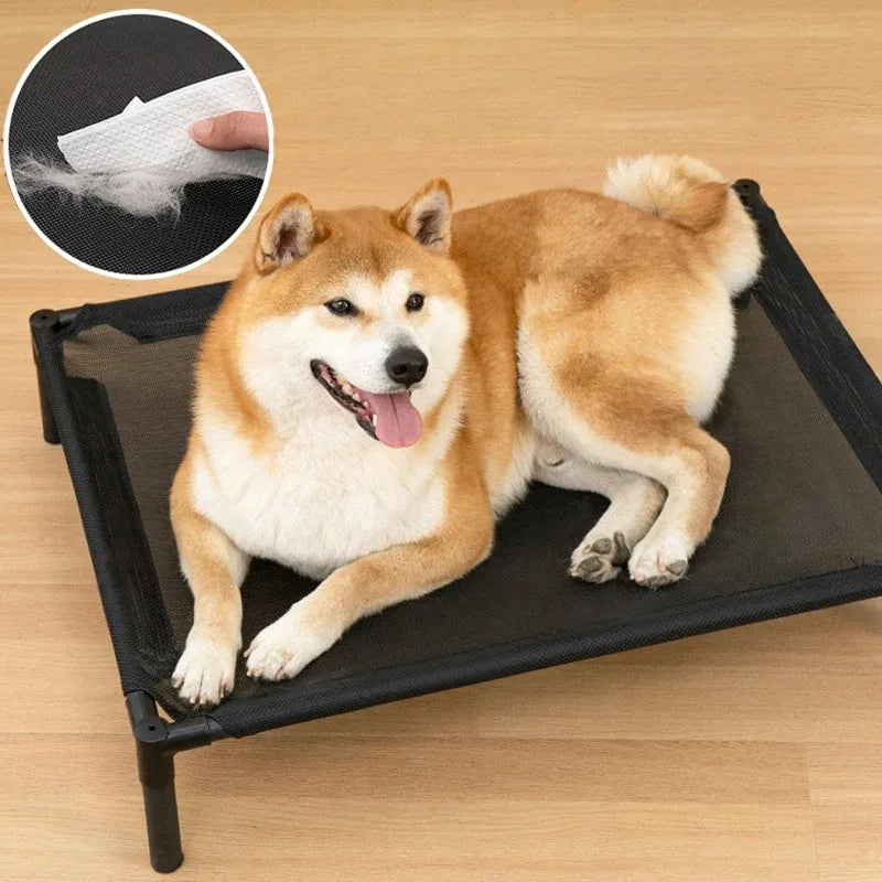 Cama Elevada Clean Pet Free: Conforto Térmico, Zero Cheiro e Fim das Dores Articulares para o seu Pet.