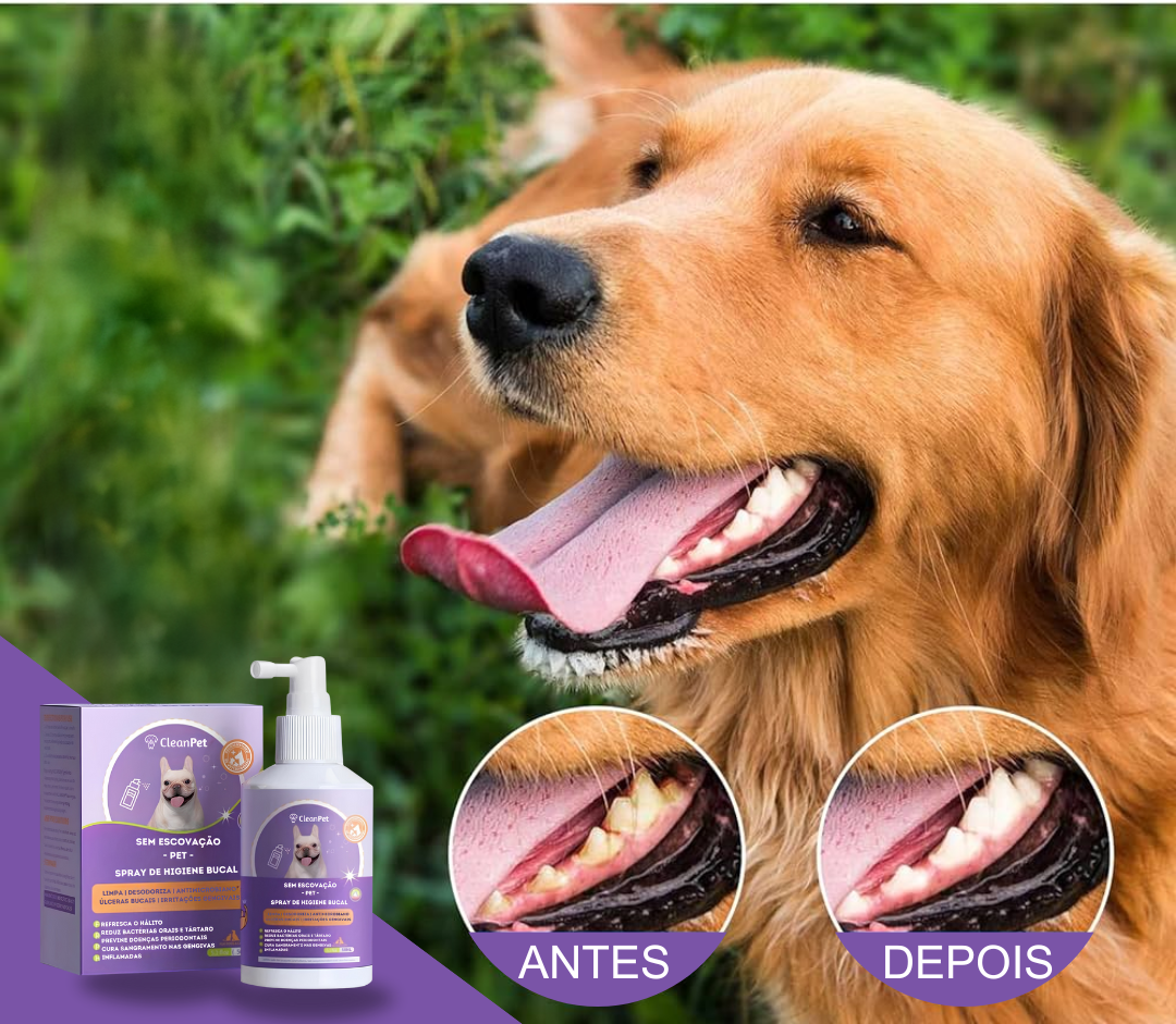 Spray de limpeza bucal - anti tártaro e mau hálito - Leve 2 pague 1 - Oferta Especial