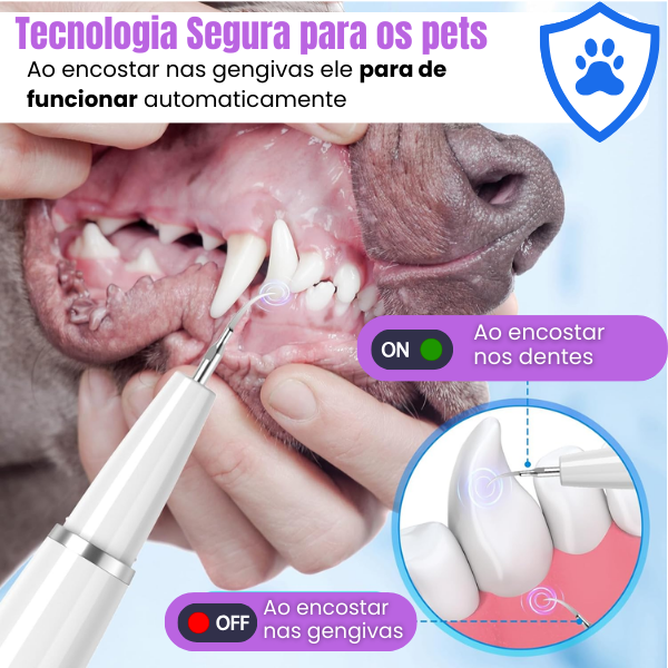 Ultrassônico Removedor de tártaro em cães e gatos - SmilePet™ – Clean pet