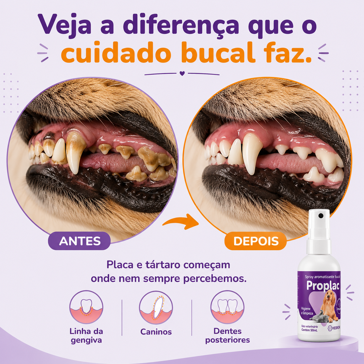 Spray de Limpeza Bucal - Anti Tártaro e Mau Hálito