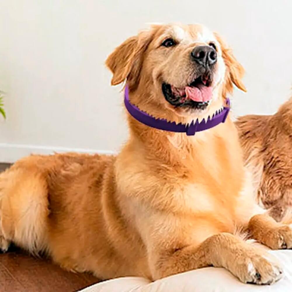 Coleira Calmante ZenPet™  – Para Ansiedade e Estresse em Cães e Gatos
