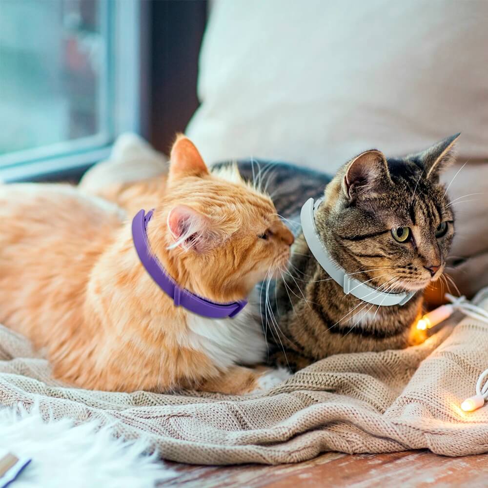 Coleira Calmante ZenPet™  – Para Ansiedade e Estresse em Cães e Gatos