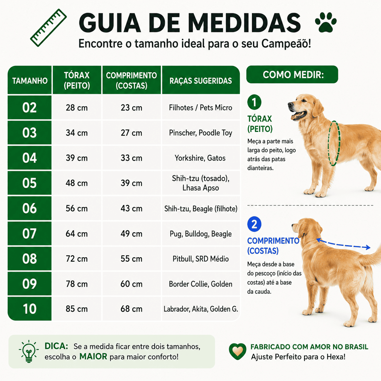 Roupinha Personalizada Brasil com Nome do seu Pet - FANPET™ (Edição Limitada)