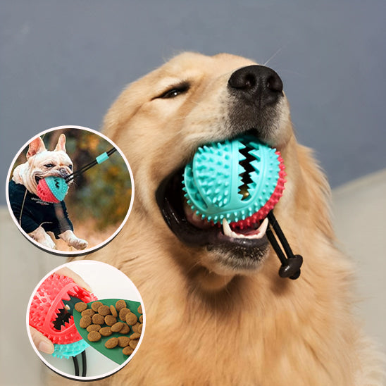 DentPlay™ - Brinquedo de Limpeza Dental e Alívio da Ansiedade para Cães
