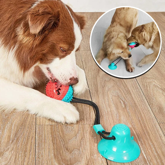 DentPlay™ - Brinquedo de Limpeza Dental e Alívio da Ansiedade para Cães