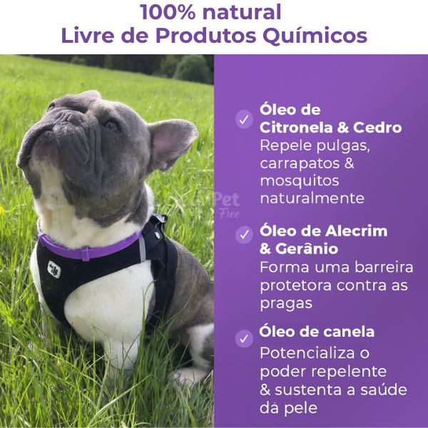 Coleira antiparasitas de longa proteção - ProtectShield™