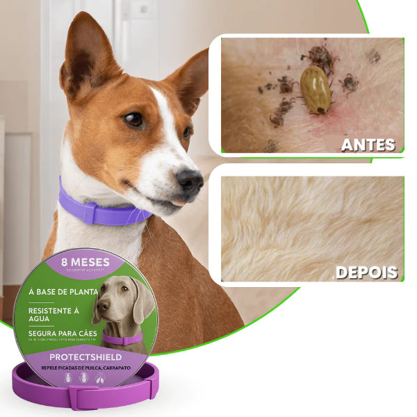 Coleira antiparasitas de longa proteção - ProtectShield™